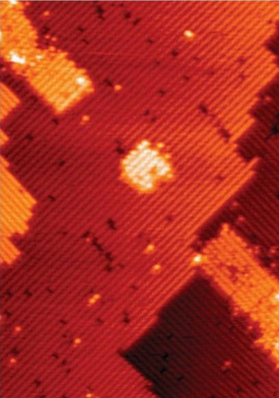 這是量子點(diǎn)設(shè)備模板,中間的小孔就是由7個(gè)磷原子構(gòu)成的