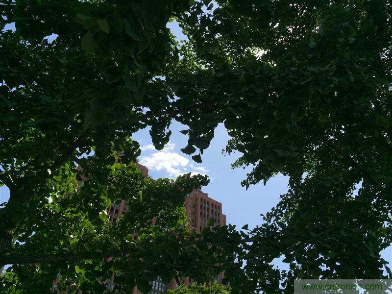 無邊框的 nubia Z9 ，一款既有驚喜，又有驚艷的智能手機(jī)