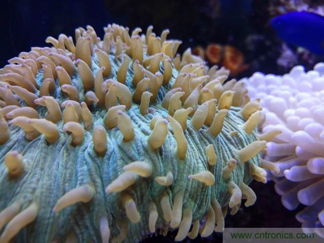 Hi-Fi革命!vivo X6 Plus深度評測:夠快才暢快