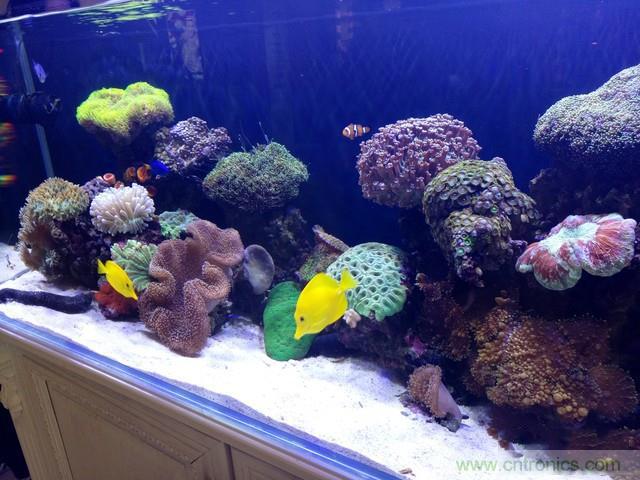 Hi-Fi革命!vivo X6 Plus深度評測:夠快才暢快