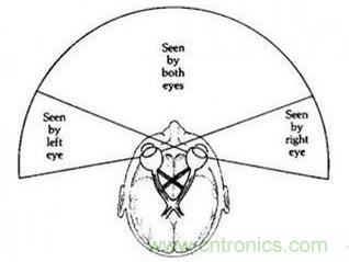 雙目重疊技術(shù)在VR中有什么作用?
