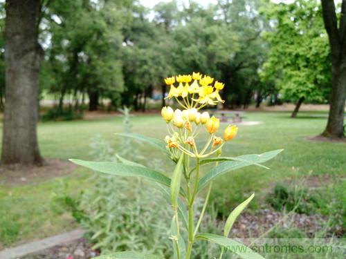 無數(shù)的拍攝,只為成就一個完美回憶
