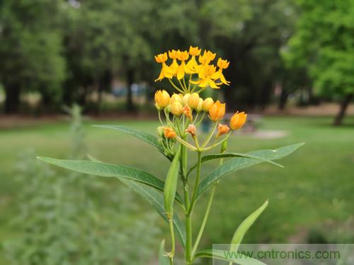 無數(shù)的拍攝,只為成就一個完美回憶