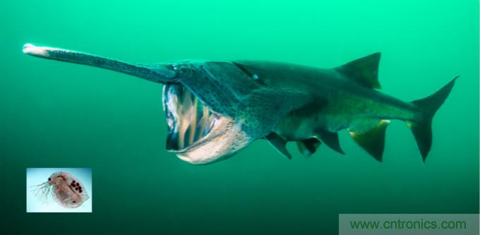 檢測(cè)不到信號(hào)，是加點(diǎn)噪聲？還是濾除噪聲？