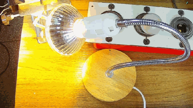 電燈泡內(nèi)通有交流電,為什么看不到燈泡在閃爍?