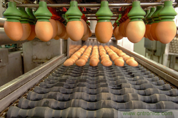 使用成像技術優化食物分揀過程 使用成像技術優化食物分揀過程