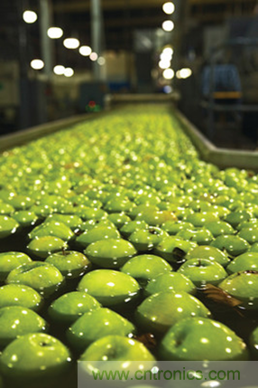 使用成像技術優化食物分揀過程 使用成像技術優化食物分揀過程