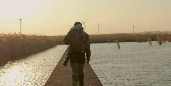 世界濕地日:海康威視攜手一個地球自然基金會,在上海守護這個重要“驛站” 世界濕地日:海康威視攜手一個地球自然基金會,在上海守護這個重要“驛站”