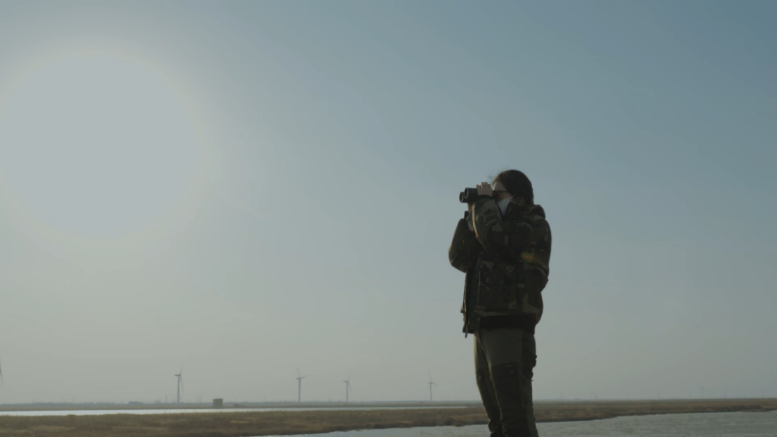 世界濕地日:海康威視攜手一個地球自然基金會,在上海守護這個重要“驛站” 世界濕地日:海康威視攜手一個地球自然基金會,在上海守護這個重要“驛站”