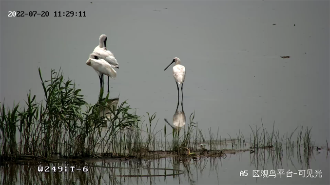 海康威視發(fā)布2022年ESG報(bào)告:科技為善,助力可持續(xù)的美好未來(lái) 海康威視發(fā)布2022年ESG報(bào)告:科技為善,助力可持續(xù)的美好未來(lái)