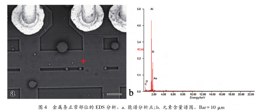 超聲波清洗暗藏"芯片密碼":二氧化硅顆粒撞擊機理揭秘 超聲波清洗暗藏"芯片密碼":二氧化硅顆粒撞擊機理揭秘