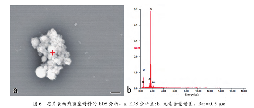 超聲波清洗暗藏"芯片密碼":二氧化硅顆粒撞擊機理揭秘 超聲波清洗暗藏"芯片密碼":二氧化硅顆粒撞擊機理揭秘