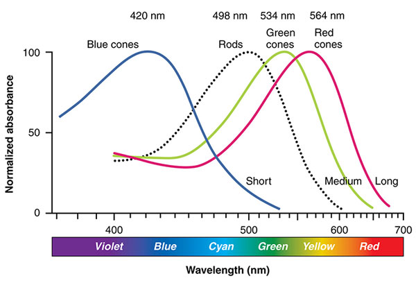 超人之眼:新款顏色和光譜傳感器如何看到人們看不見的東西 超人之眼:新款顏色和光譜傳感器如何看到人們看不見的東西