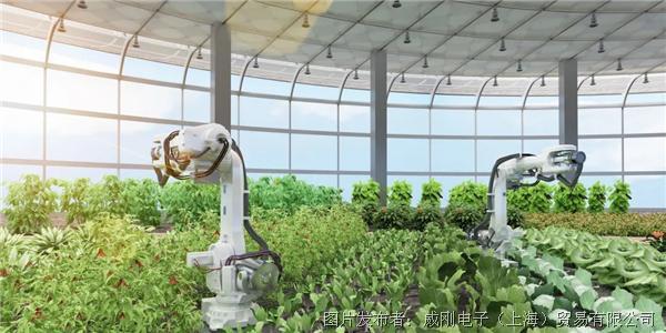 智慧農業大有可為，“數字種地”更輕松